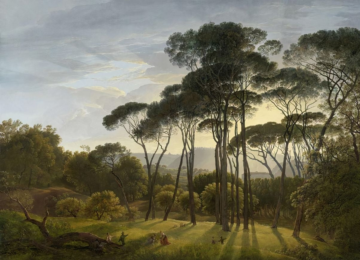 Papier Peint paysage de Foret