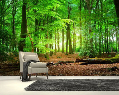 Papier Peint 3D Foret