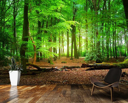Papier Peint 3D Foret