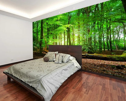 Papier Peint 3D Foret