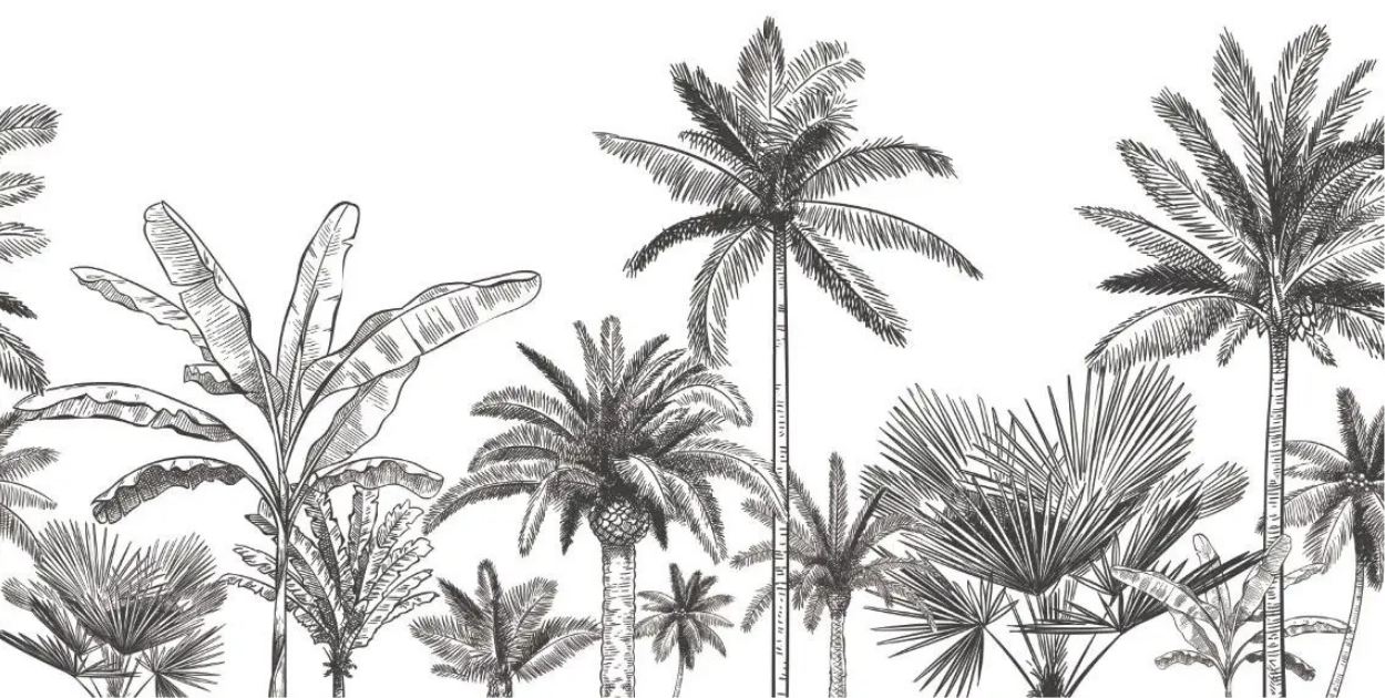 Papier Peint Foret Tropical