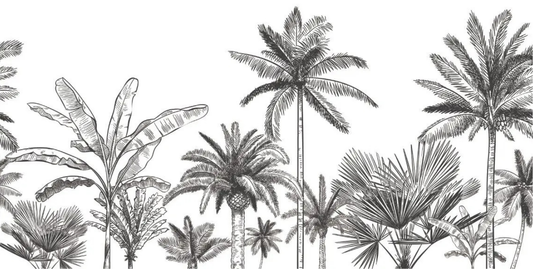 Papier Peint Foret Tropical