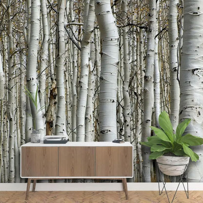 Papier Peint Forêt de Bouleau
