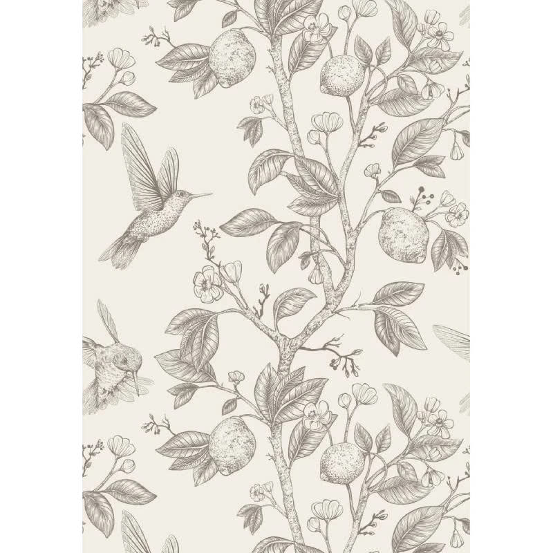 Papier peint colibri et arbre fruitier vintage noir et blanc