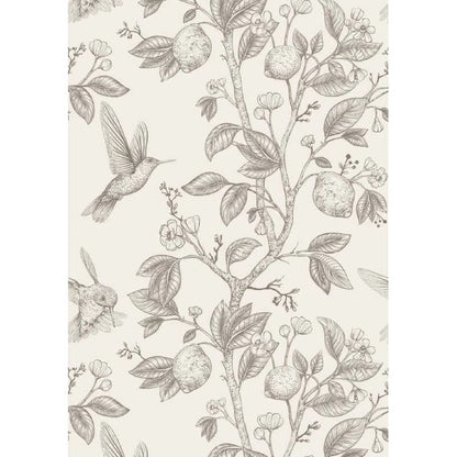 Papier peint colibri et arbre fruitier vintage noir et blanc motif