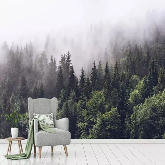 Papier peint nuage gris