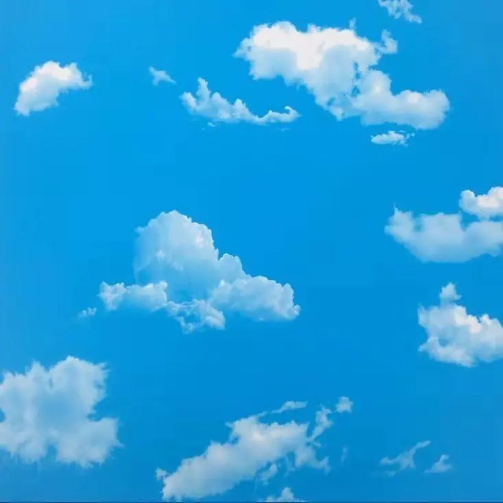 Papier peint nuage plafond motif