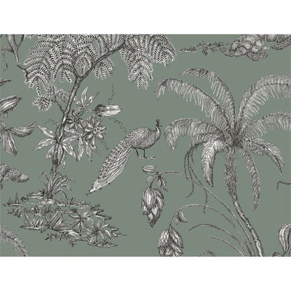 Papier peint paon vert sauge motif