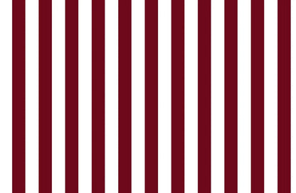 Papier peint rayures bordeaux deco chambre