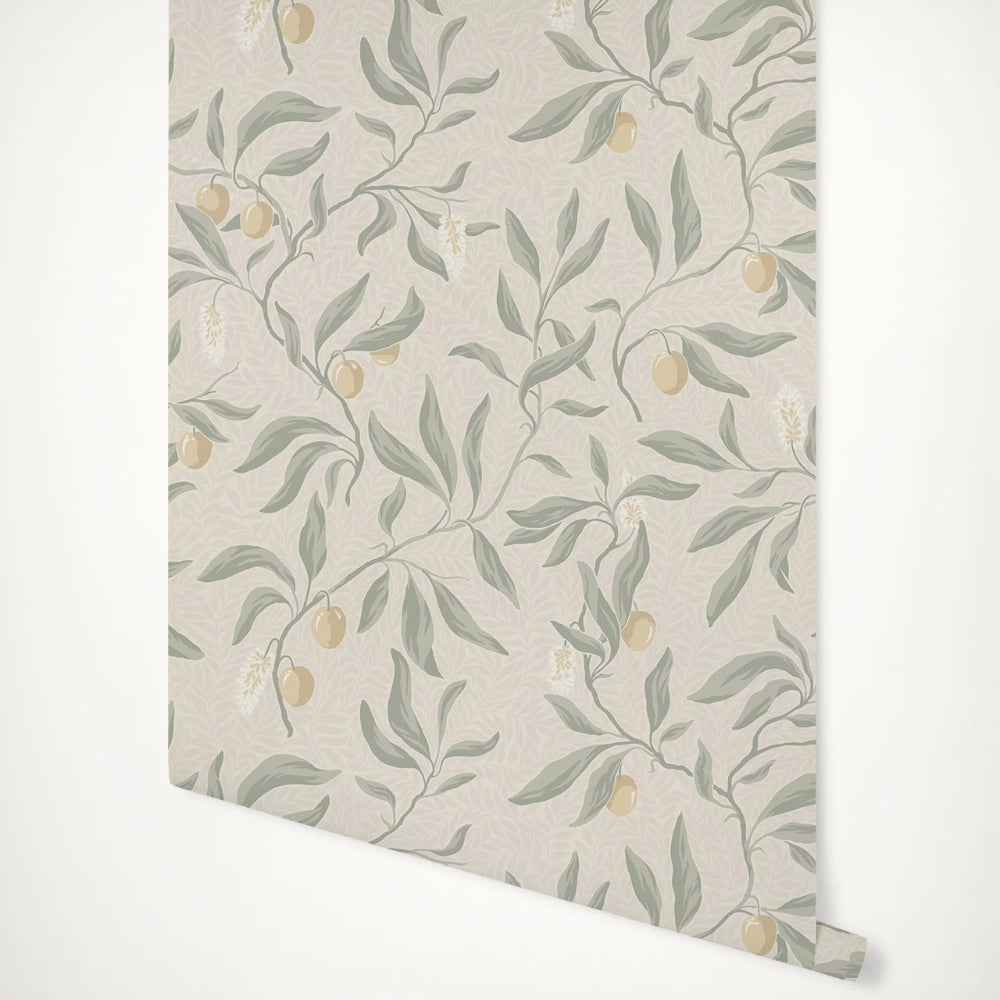 Papier peint salon vert sauge