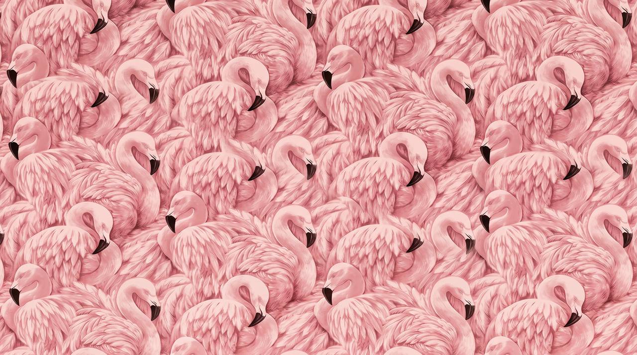 papier-peint-avec-flamant-rose-motif