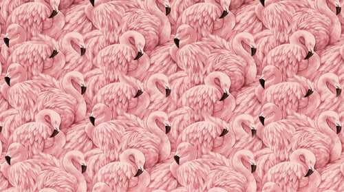 Papier peint flamant rose