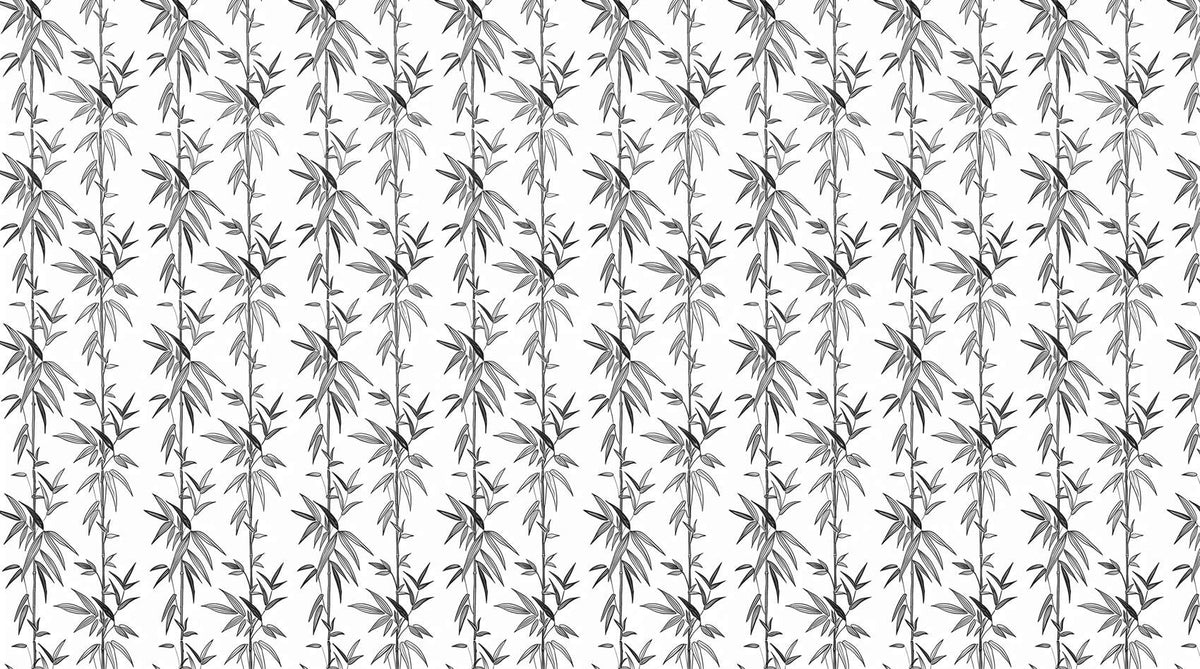 Papier peint bambou noir et blanc