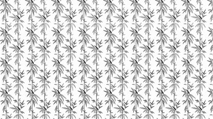 Papier peint bambou noir et blanc