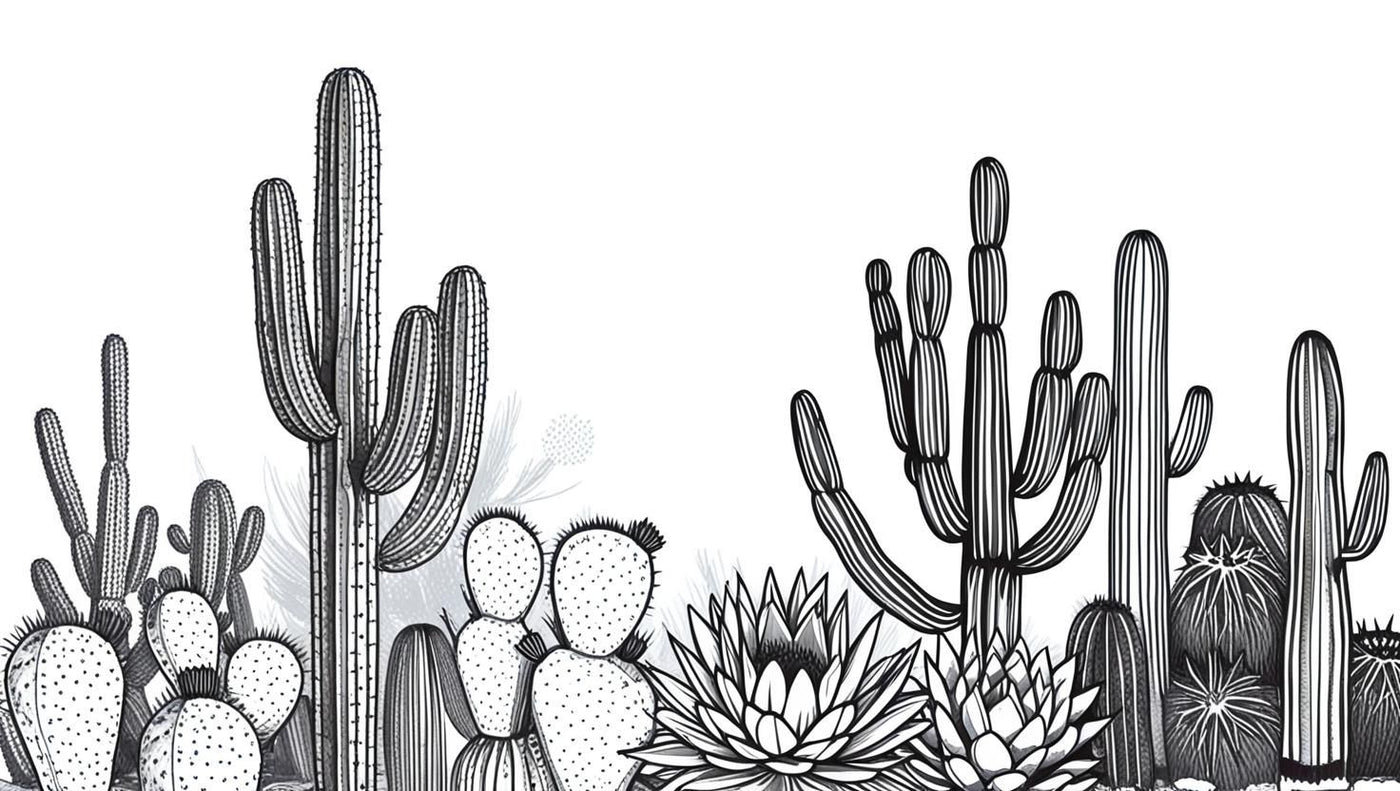 Papier Peint Cactus Noir Et Blanc
