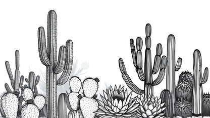 papier peint cactus noir et blanc