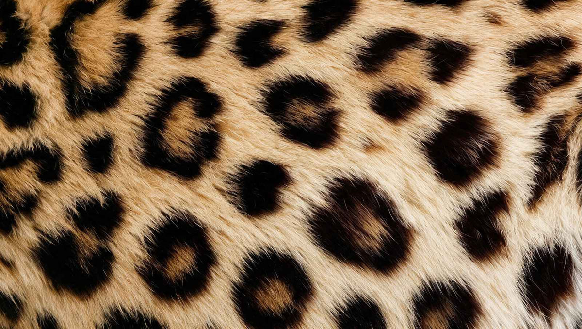 papier-peint-effet-pelage-realiste-leopard-motif