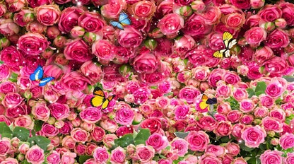 Papier peint fleur rose