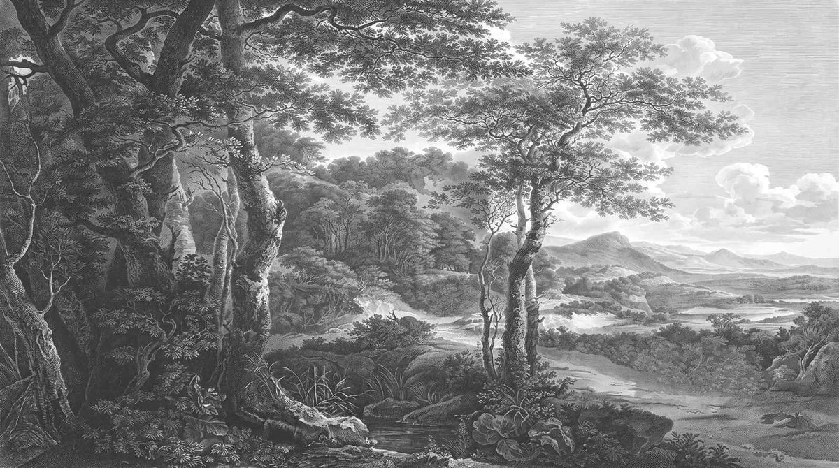 Papier Peint Foret Noir Et Blanc