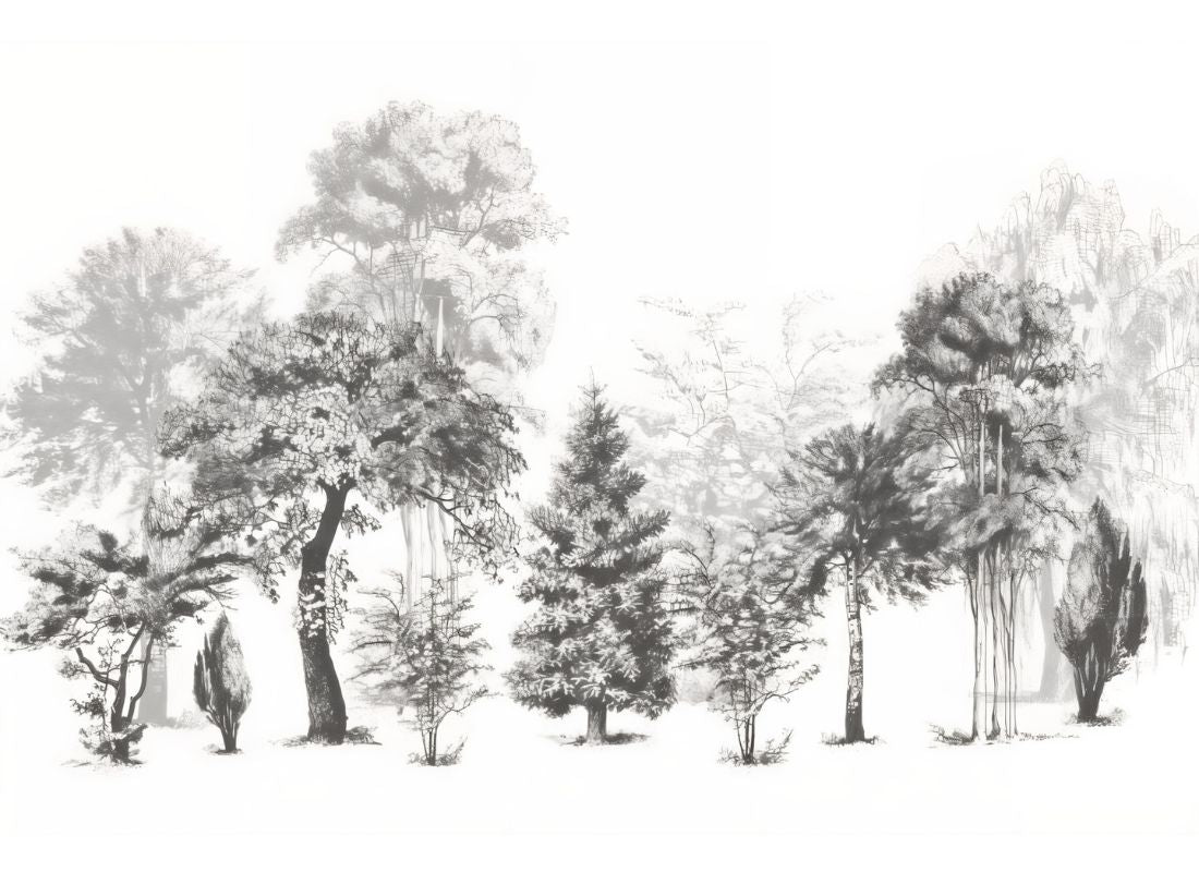 Papier Peint Foret Noir