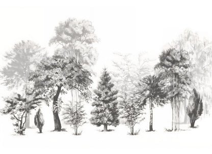 Papier Peint Foret Noir motif panoramique tapisserie murale