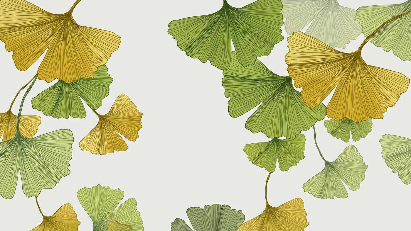 Papier peint ginkgo vert