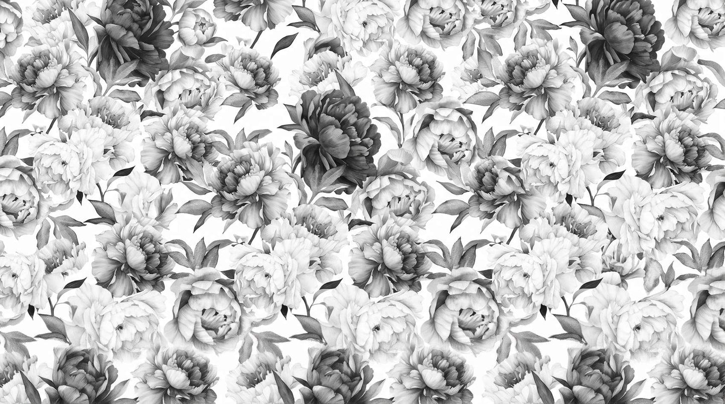 Papier peint grosses fleurs blanches