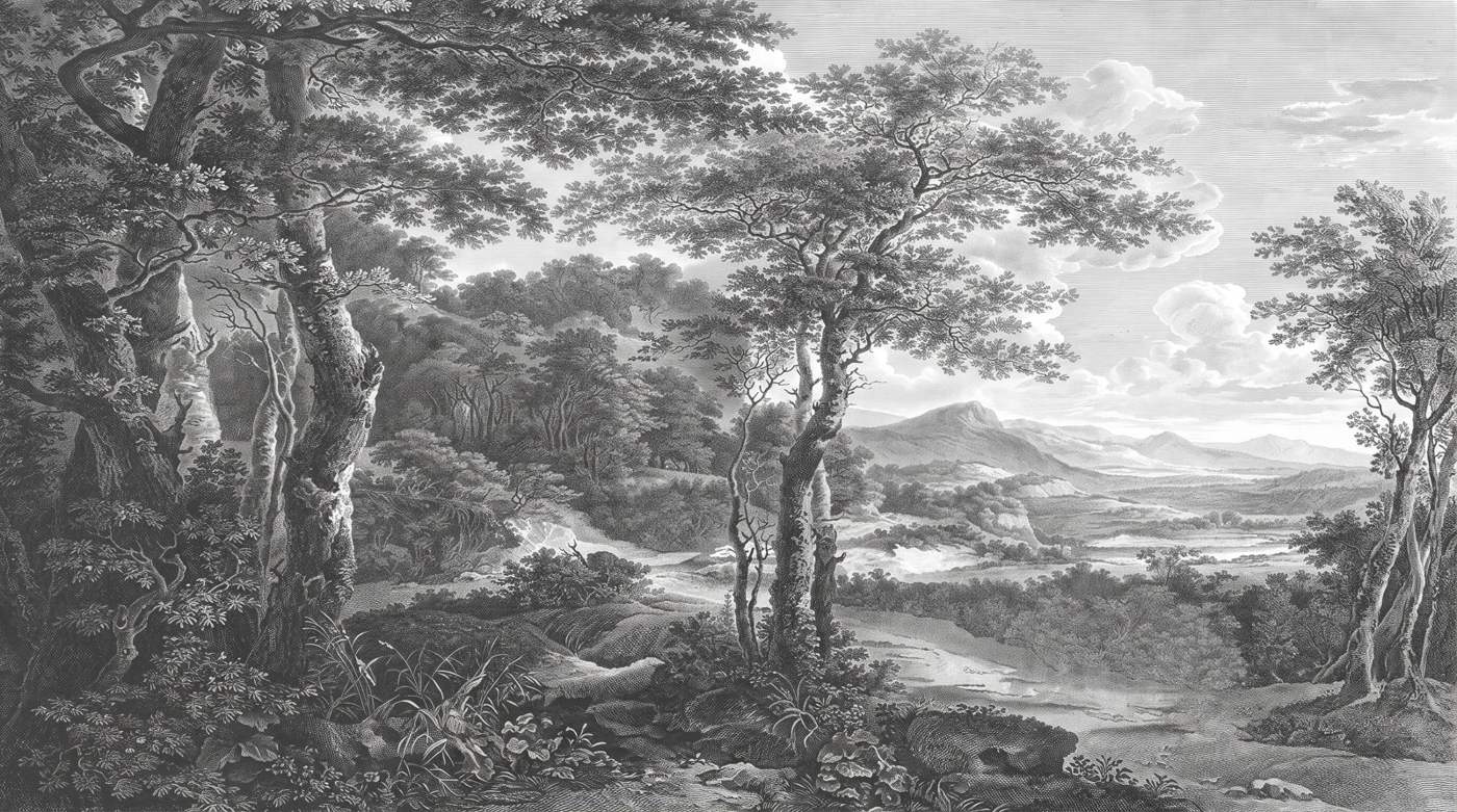 Papier Peint Jungle Noir