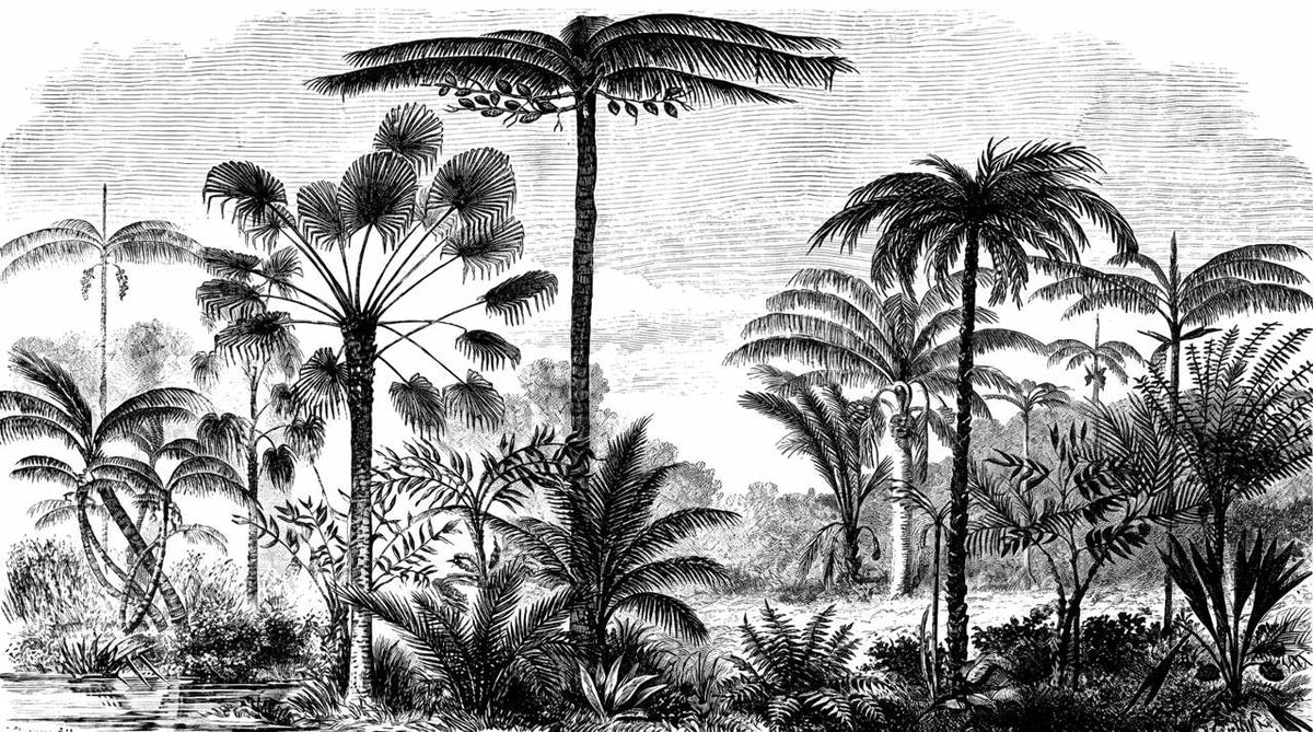 Papier peint jungle tete de lit
