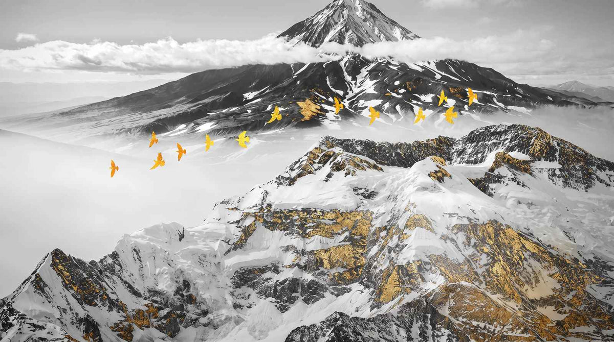 Papier Peint Montagne Noir Et Blanc