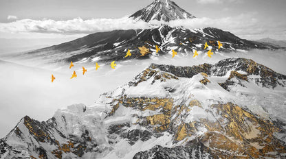 Papier Peint Montagne Noir Et Blanc