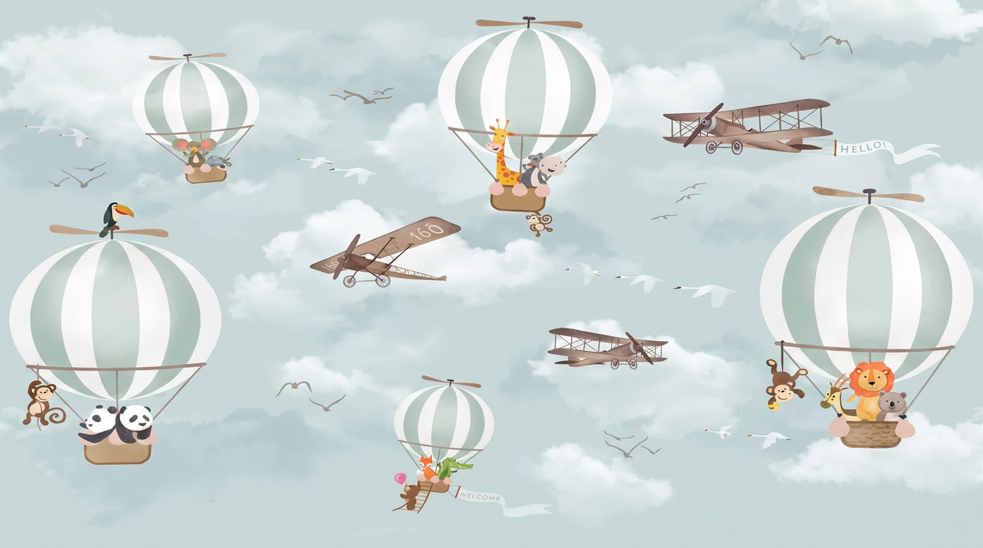 Papier peint montgolfiere avion