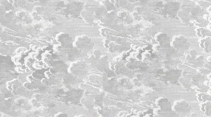 Papier peint nuage noir et blanc