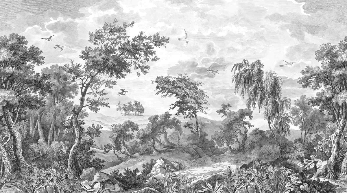 Papier Peint Paysage Noir Et Blanc