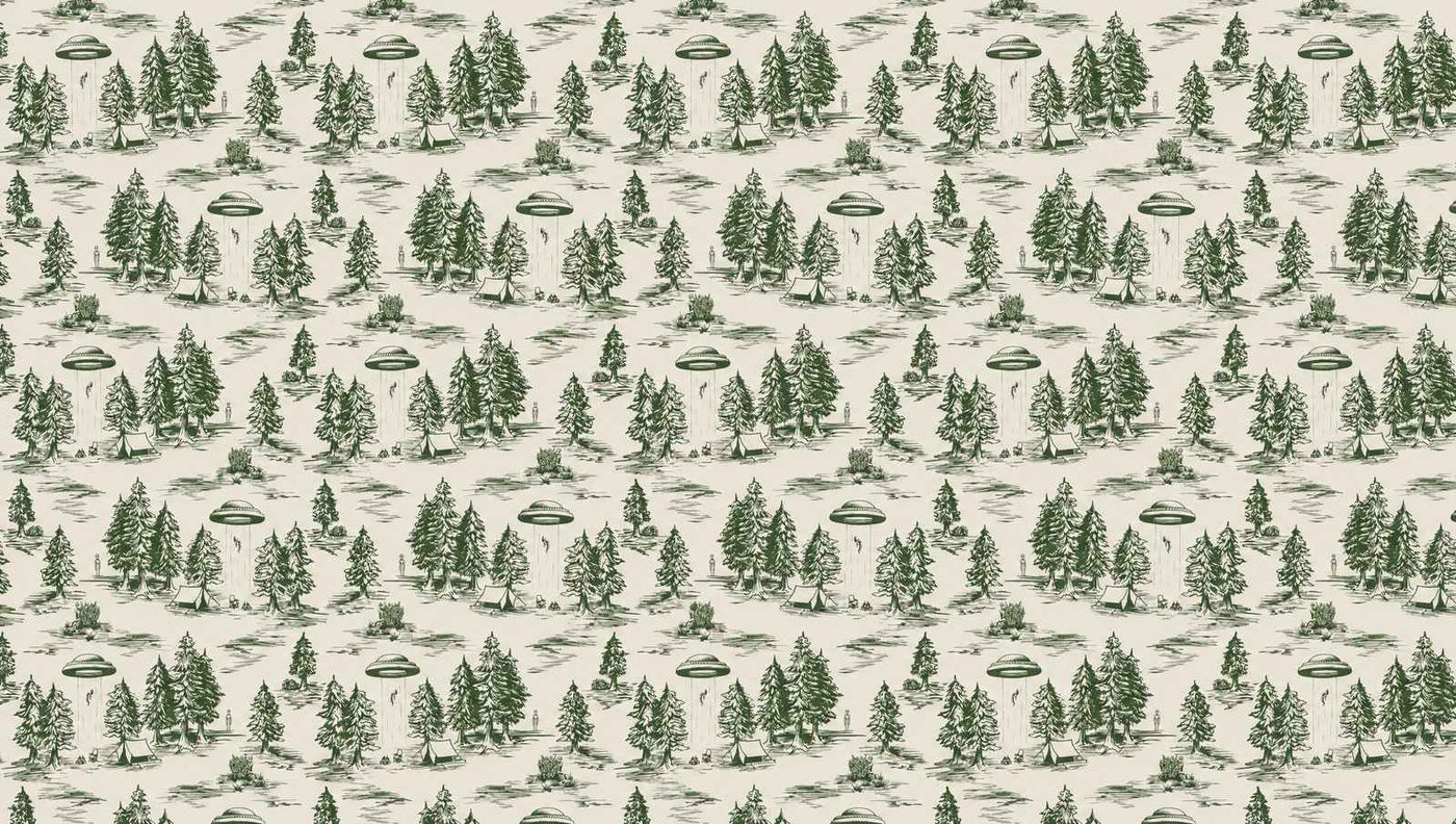 Papier peint toile de jouy moderne