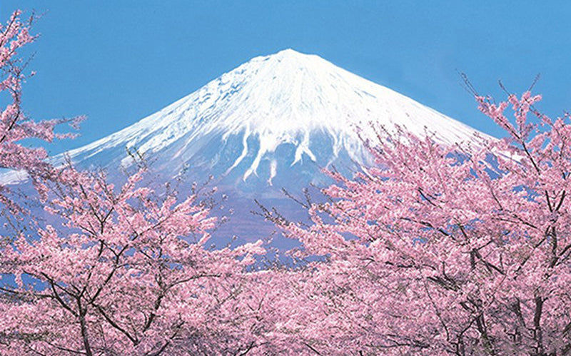 papier peint mont fuji